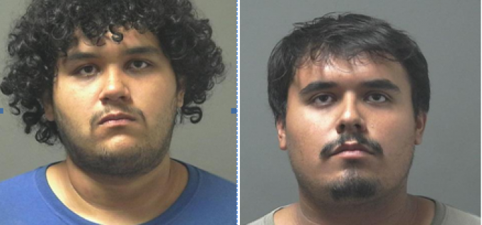 Brothers and juvenile arrested for stealing chainsaws