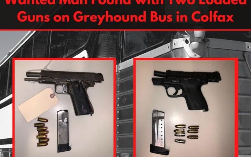 Man with warrants carries two stolen guns on Greyhound bus