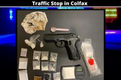 Traffic stop yields a store of various drugs