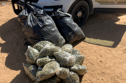 Several Suspects Arrested for Outdoor Marijuana Cultivations in Operation Hammer Strike’s Second Week