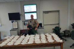 Good Dog! TCSO K9 Dozer Leads Deputies to 65 pounds of Meth