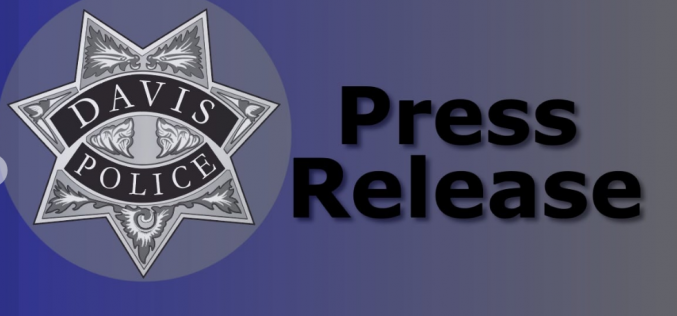 Felony Child Endangerment Arrest