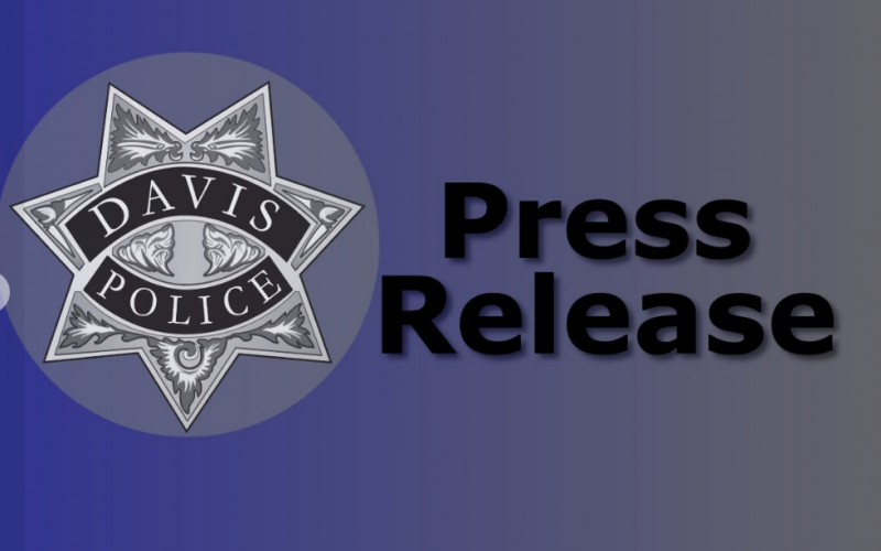 Felony Child Endangerment Arrest