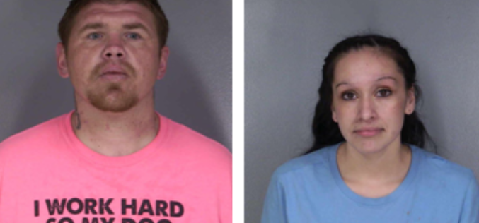 Two arrested during stolen vehicle investigation