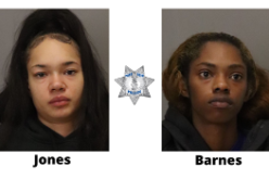 Large Group of Burglars Thwarted; Police Arrest Two