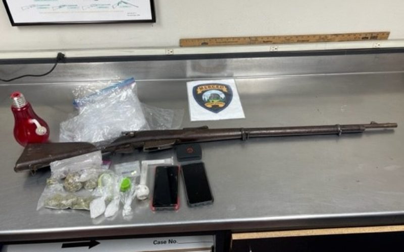 Firearm and Narcotic Sales Arrest