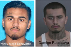 One arrested, one sought in December shooting homicide