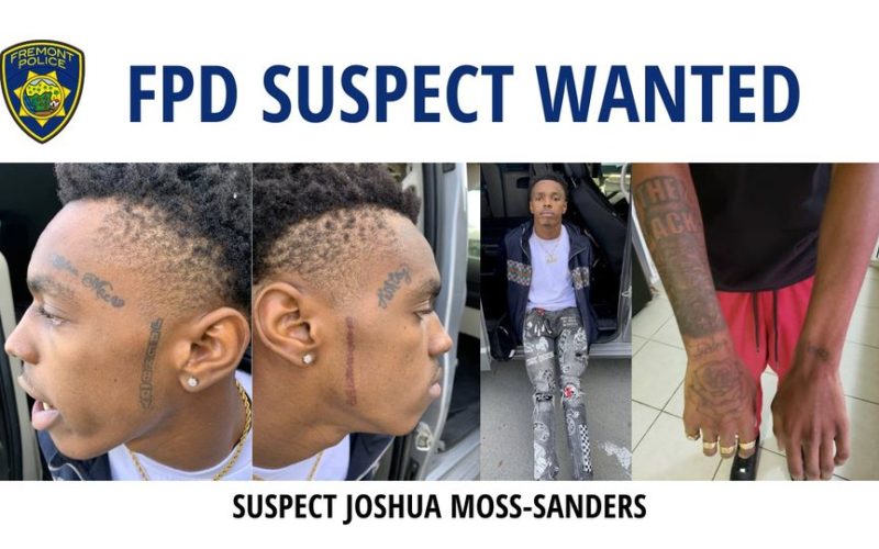 Joshua Moss-Sanders: Covered with Tattoos and Wanted for Armed Robberies