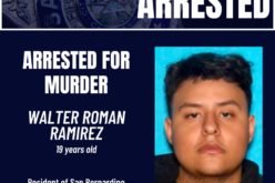 HOMICIDE SUSPECT ARRESTED