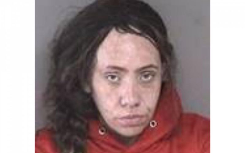 Woman on Probation for Vehicle Theft is Arrested for Driving a Stolen Van to Court