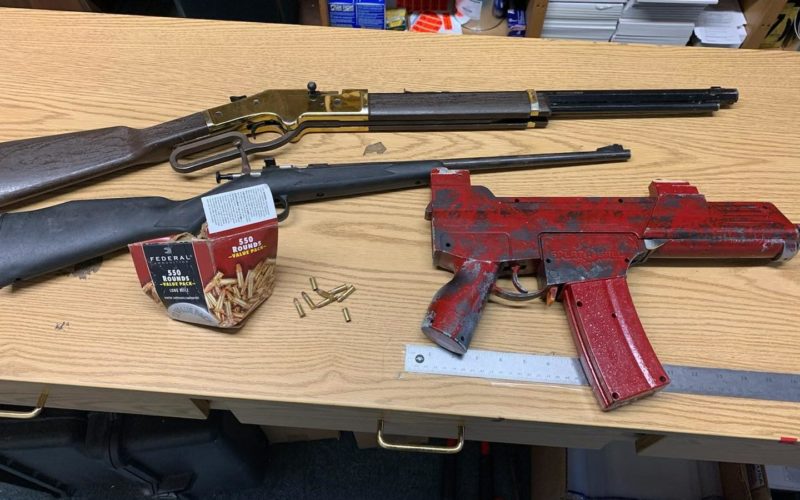 Man accused of brandishing, bringing guns onto Crescent City school campus