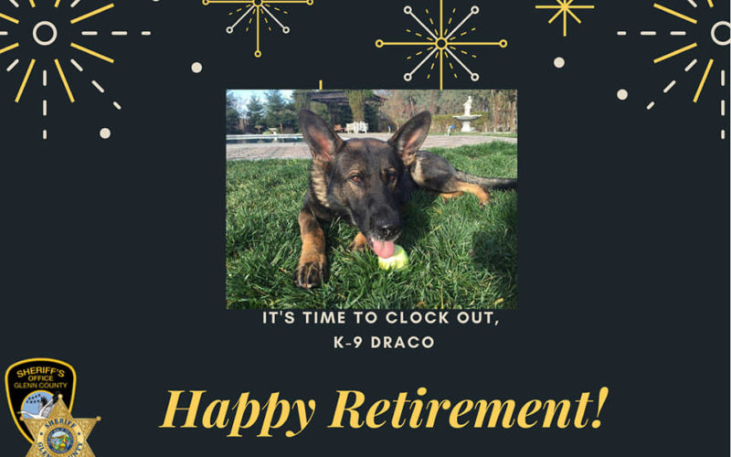 K-9 Draco enters retirement from the force