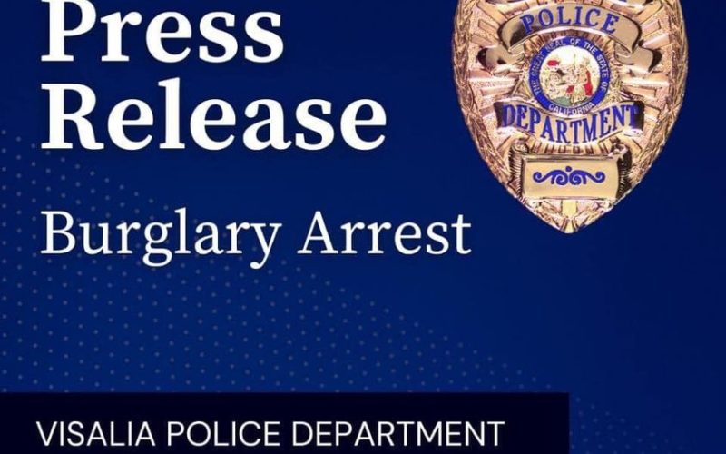 Burglar nabbed with stolen property