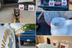 THIS MIGHT BE THE SECOND LARGEST FENTANYL BUST IN THE VALLEY