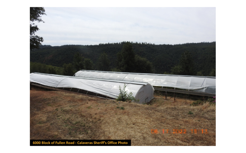 Marijuana Enforcement Team dismantles numerous illegal grow operations in Calaveras County