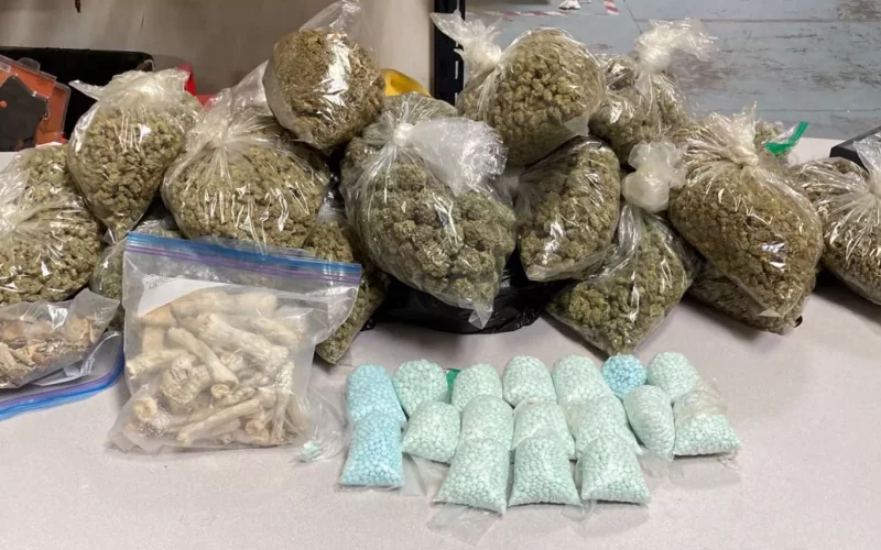 Major Drug Bust 17,000 Fentanyl Pills and More Seized in Arrest