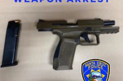 Drugs and Weapons Arrest in Santa Cruz