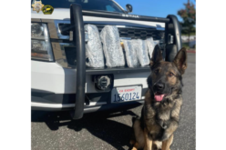 Tens of thousands of fentanyl pills reportedly seized during Placer County traffic stop