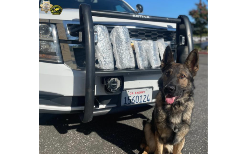 Tens of thousands of fentanyl pills reportedly seized during Placer County traffic stop