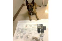 Humboldt County Felony Warrant Suspect Arrested for Narcotics