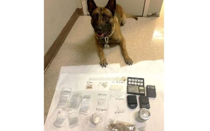 Humboldt County Felony Warrant Suspect Arrested for Narcotics