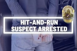 Update: Hit-and-Run Suspect Arrested