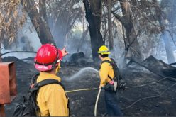 Arsonist Arrested for Goleta Beach County Park Fire