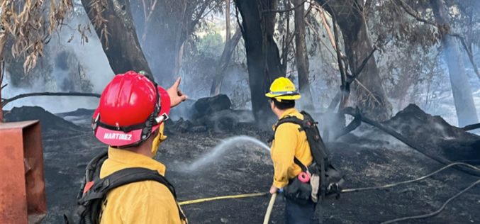 Arsonist Arrested for Goleta Beach County Park Fire