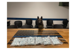 Placer County Deputy and K9 Seize 60,000 Tablets of Suspected Fentanyl