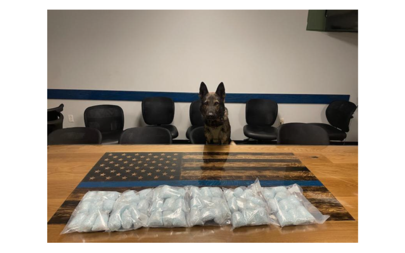 Placer County Deputy and K9 Seize 60,000 Tablets of Suspected Fentanyl