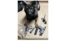 Del Norte Weapon and Drug Arrest