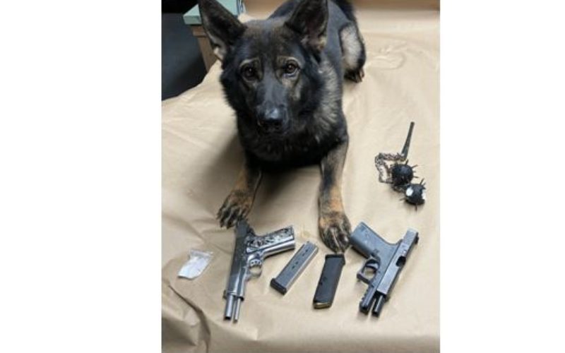 Del Norte Weapon and Drug Arrest