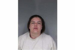 Woman Arrested for Vandalism in Shelter Cove