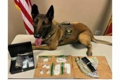 Susanville Pair arrested for Narcotics