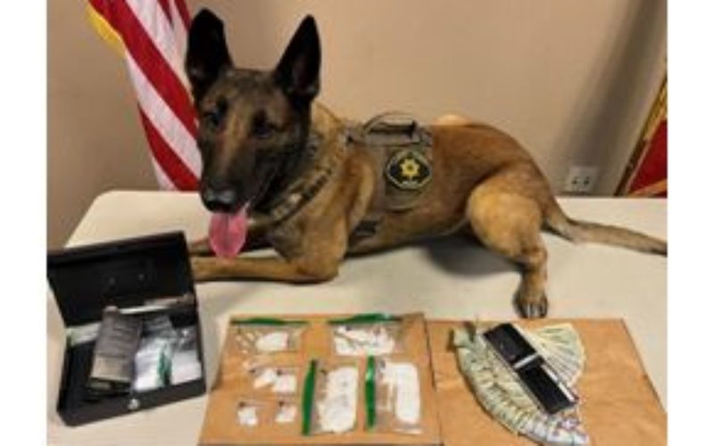 Susanville Pair arrested for Narcotics