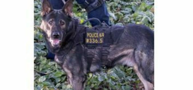 Police K9 Unit Helps Rescue Missing Autistic Child