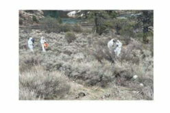 Unidentified Human Remains Found in Nevada County