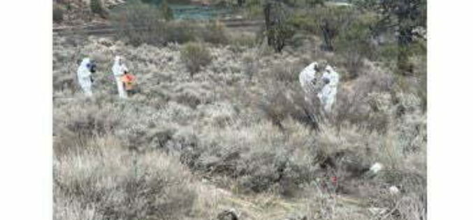 Unidentified Human Remains Found in Nevada County