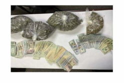 Suspect arrested in Large Narcotics Bust