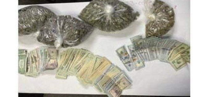 Suspect arrested in Large Narcotics Bust