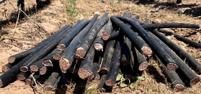 Two Arrested for Alleged Theft of Copper Wire in San Joaquin County