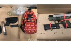 Watsonville Police Seize Firearms and Ammunition During Traffic Stop