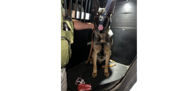 K9 Detects Drugs in Car, Leads to Narcotics Arrest