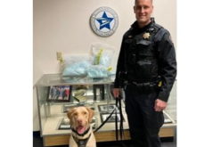 K9 Dexter assists in Large Fentanyl Arrest