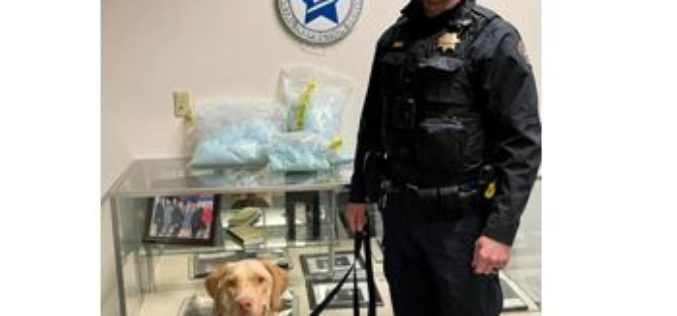 K9 Dexter assists in Large Fentanyl Arrest