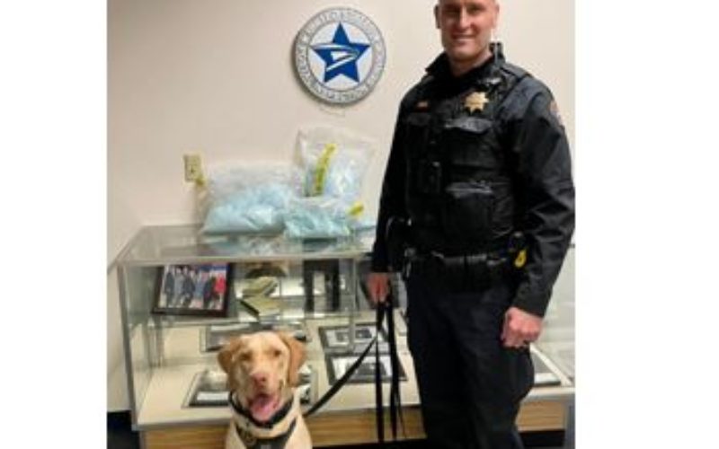 K9 Dexter assists in Large Fentanyl Arrest