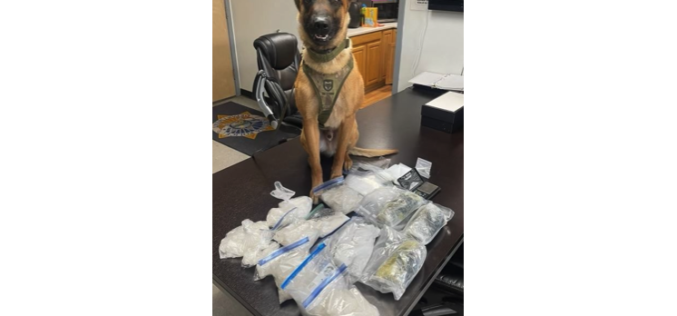 Humboldt County Sheriff’s Office Seizes 12 Pounds of Methamphetamine in Narcotics Investigation