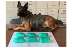 Six Pounds of Meth Confiscated During Traffic Stop in Humboldt County