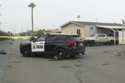 Fatal Shooting Incident at Brentwood Park in Chula Vista: Suspect in Custody as Investigation Continues