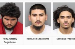 Assault with Deadly Weapon Suspects Apprehended in Perris Investigation